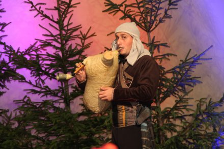 Występy konkursowe MSF